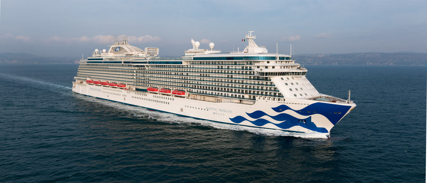 Image result for majestic princess image